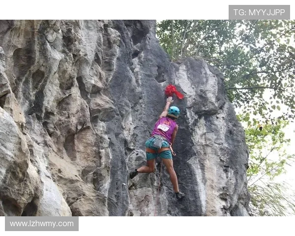 成都攀岩队的力量与技巧探讨攀岩运动的未来发展与挑战