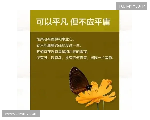 极限运动的成功秘诀吴芳分享她的心路历程与挑战应对之道