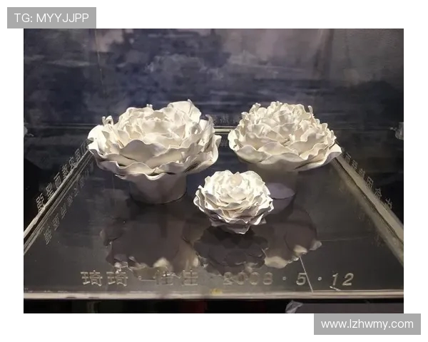 深度对话李芳网球人生的追求与梦想探索之旅