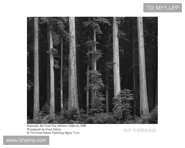 亚当斯的传奇旅程探索他在科学与艺术领域的卓越贡献与影响