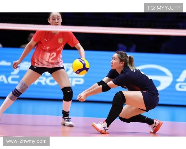 南京排球队球员表现卓越最新排球个人能力排行榜前十名揭晓