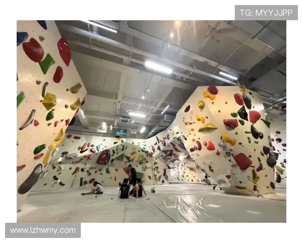 南京攀岩队荣登全国攀岩技术排行榜第五名展现实力与潜力