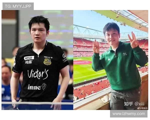 杭州乒乓球队在冠军赛中的技术表现分析与点评